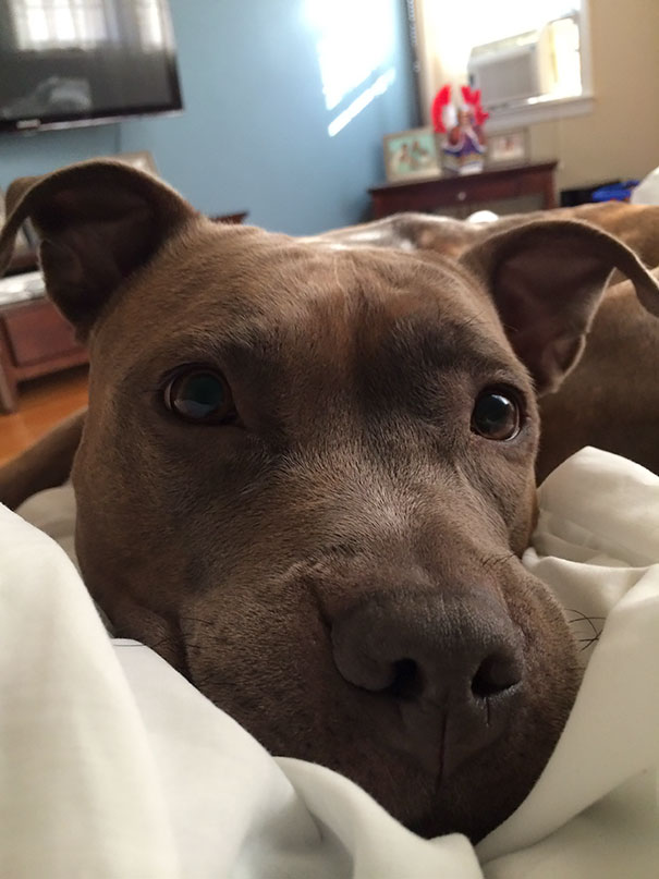 Woke Up To This Today