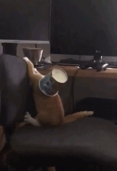 So I Woke Up To This