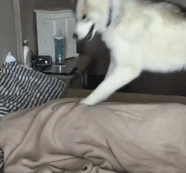 Wake Up! You Have To Throw The Ball!