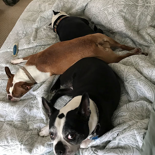 And Then This Happened