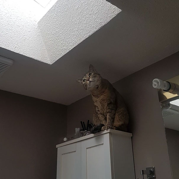 Woke Up To Find Her Looking Through The Sunroof