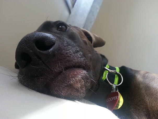 Every Time I Wake Up From A Nap