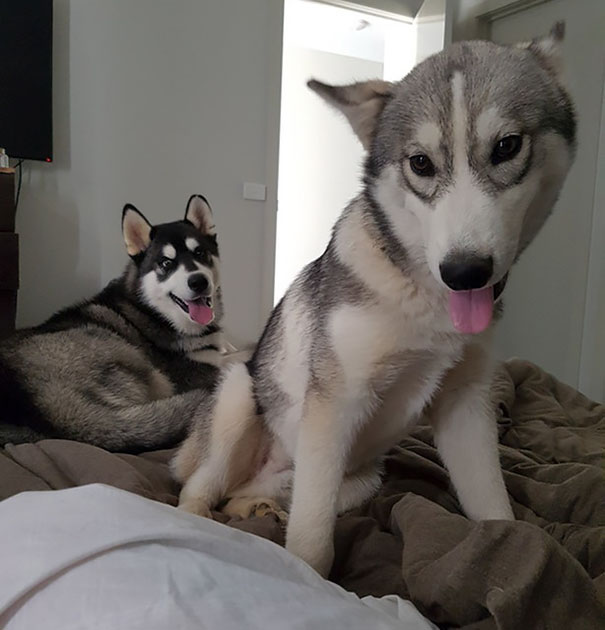 This Is What I Wake Up To Each Morning