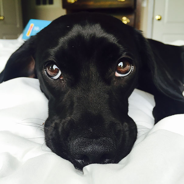 I Wake Up To This Every Morning, Makes Going To Work Difficult