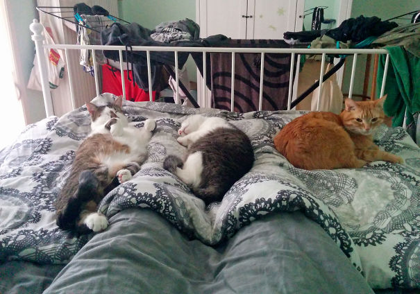 What I Wake Up To Every Morning