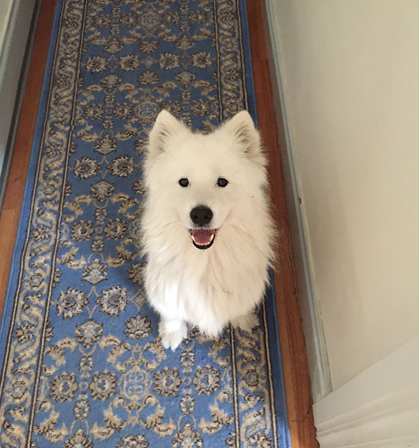 What I Wake Up To Every Morning