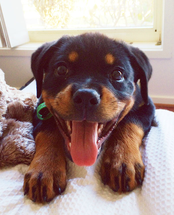 How I Wake Up Every Morning