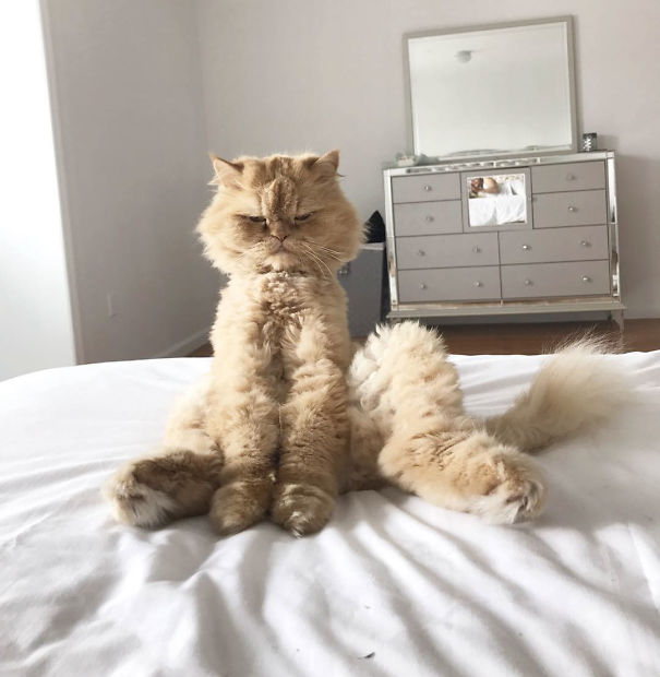 This Morning I Woke Up To This