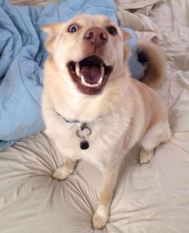 I Wake Up To This Smile Every Morning