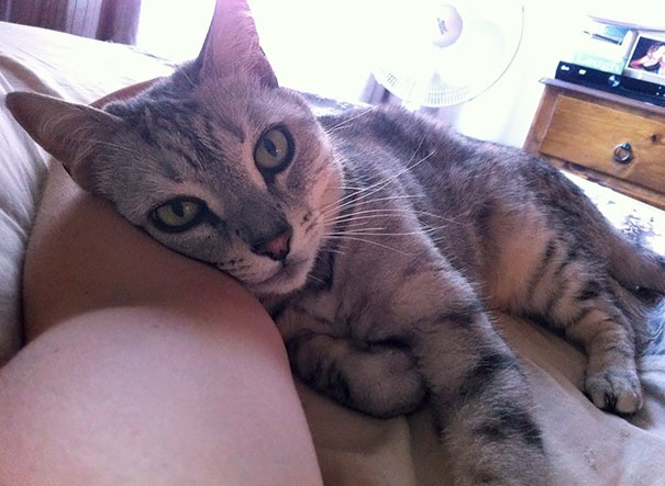 What I Wake Up To Every Morning