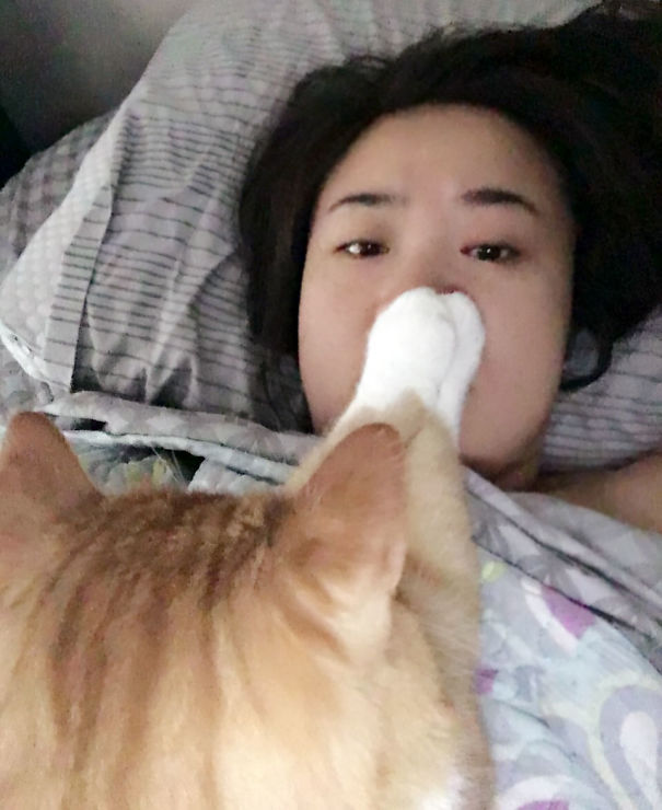 When You Wake Up To Your Cat Trying To Give You Eternal Sleep