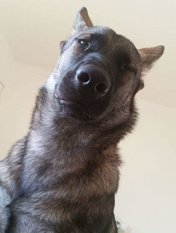 This Is What I Wake Up To Every Morning