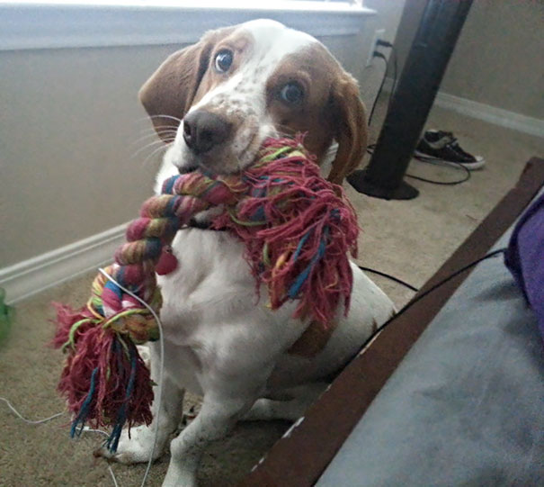 I Wake Up, And He Wants To Play