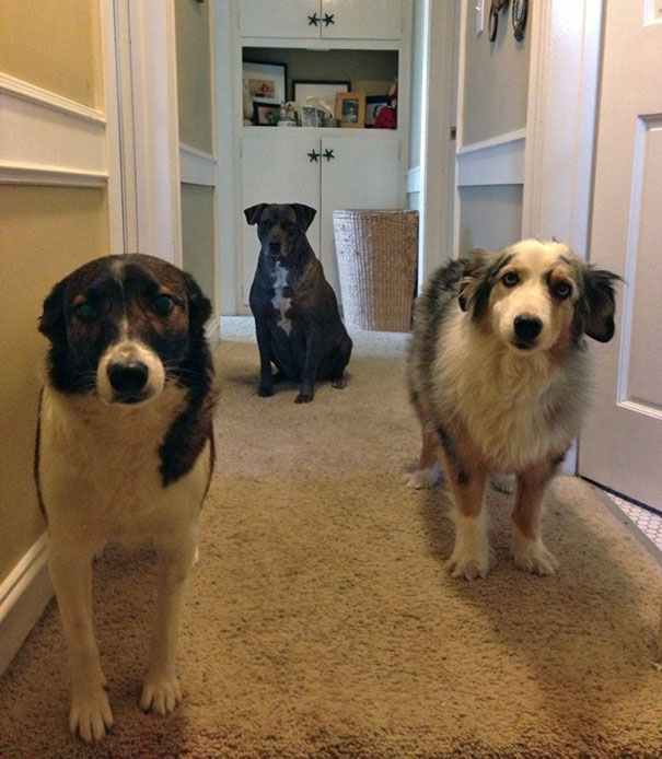 Every Day I Wake Up At My Friends House Like This. Needless To Say, I Think They Love Me More