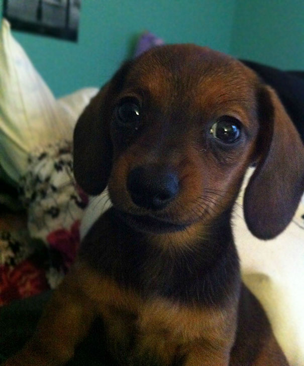 This Is What I Wake Up To Biting My Nose Off Every Morning