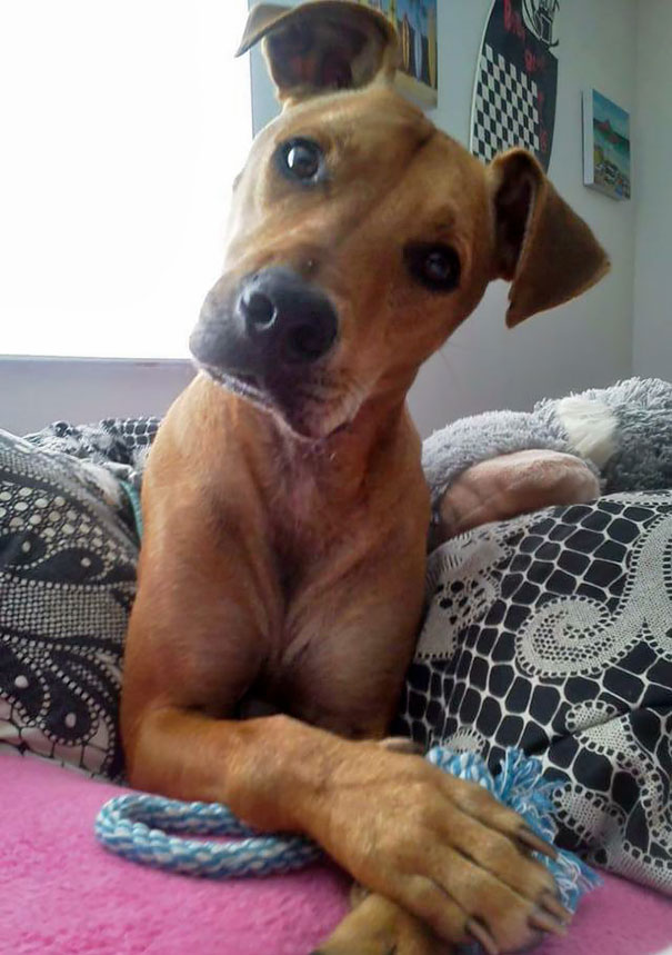 I Get To Wake Up To This Sweet Face Every Morning