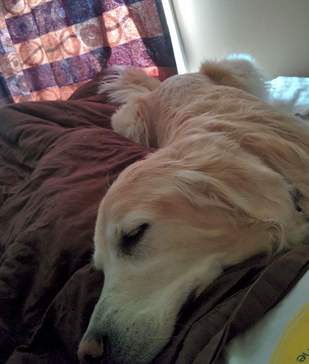 Mom Told Her To Come Wake Me Up, But She Fell Asleep On Me Instead