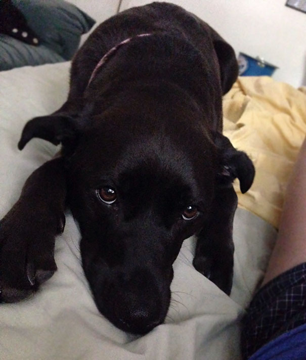 What I Wake Up To Every Time I Stay Over At My Boyfriends House