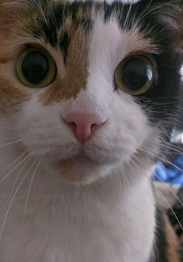 The Face I Wake Up To