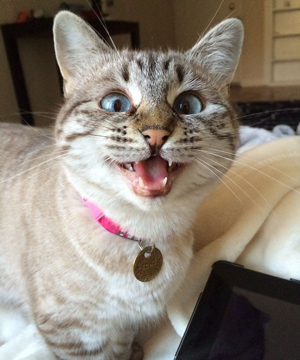 That's A Nice Face To Wake Up To