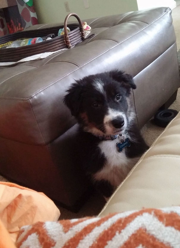 Wake Up Mom, We Have Things To Do