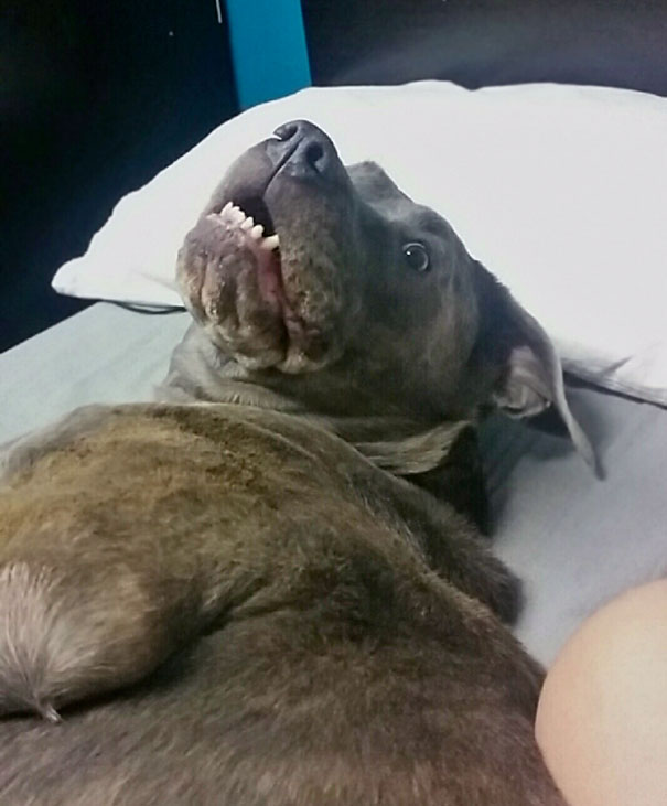 This Is The Face That I Wake Up To