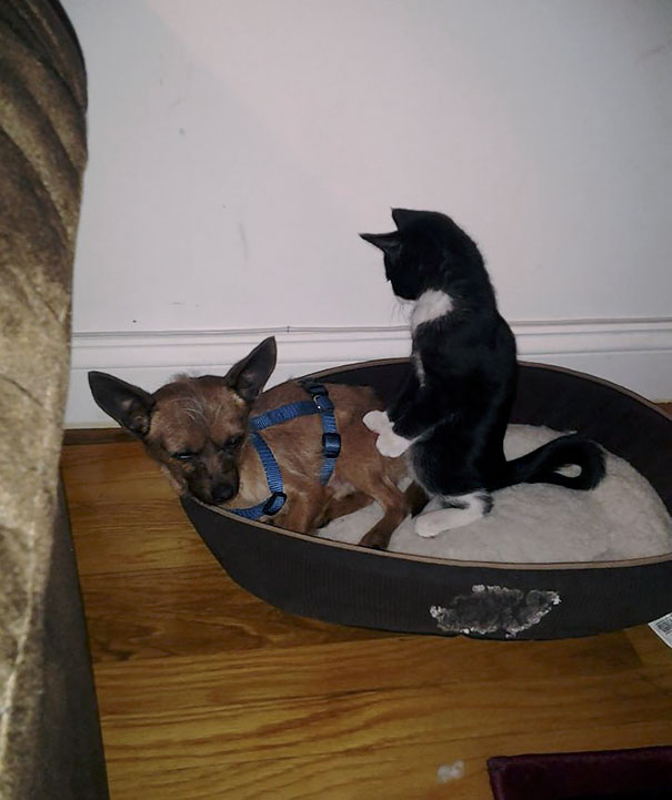 What The Hell Did I Wake Up To This Morning?