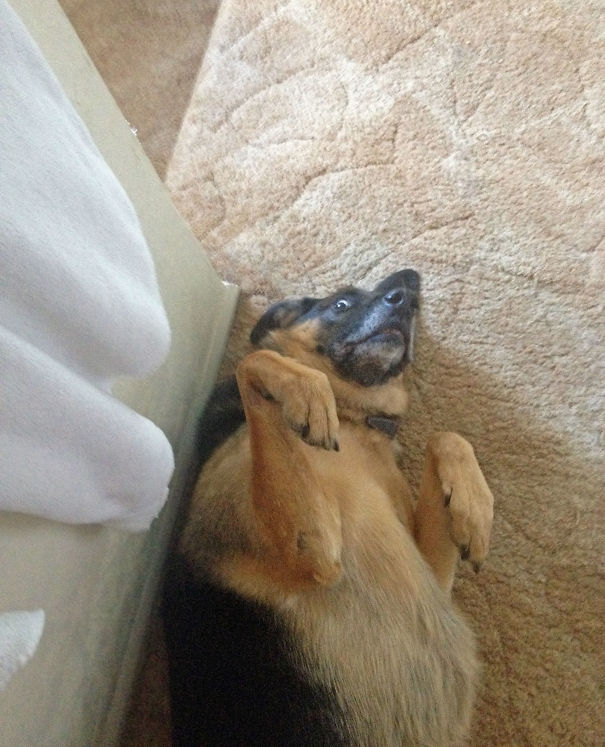 I Wake Up To This Gorgeous Fucker Doing This, Almost Every Morning