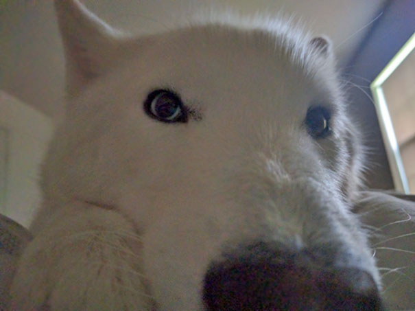 I Wake Up To This Every Morning