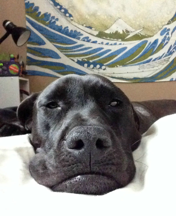 I Get To Wake Up To This Guy Every Day