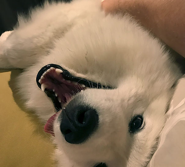 I Can Never Have A Bad Day When I Wake Up To This Face