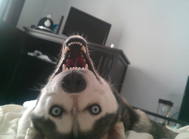 This Is What I Woke Up To