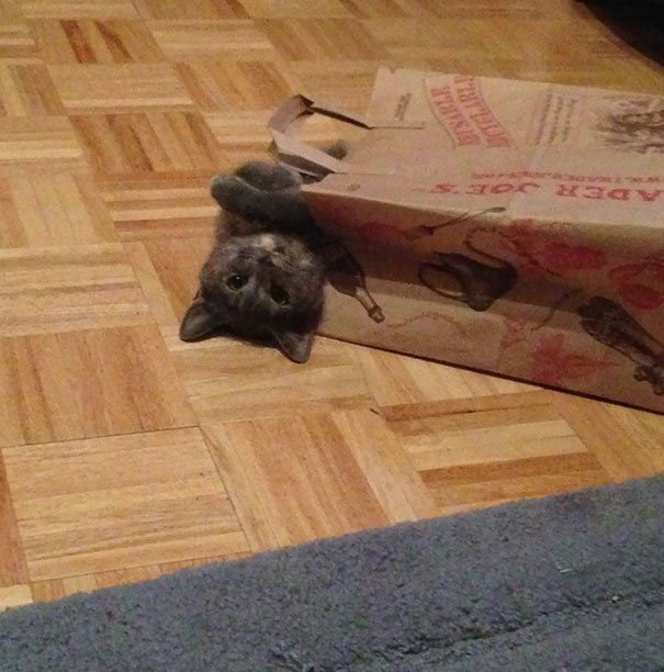 This Is What I Woke Up To This Morning