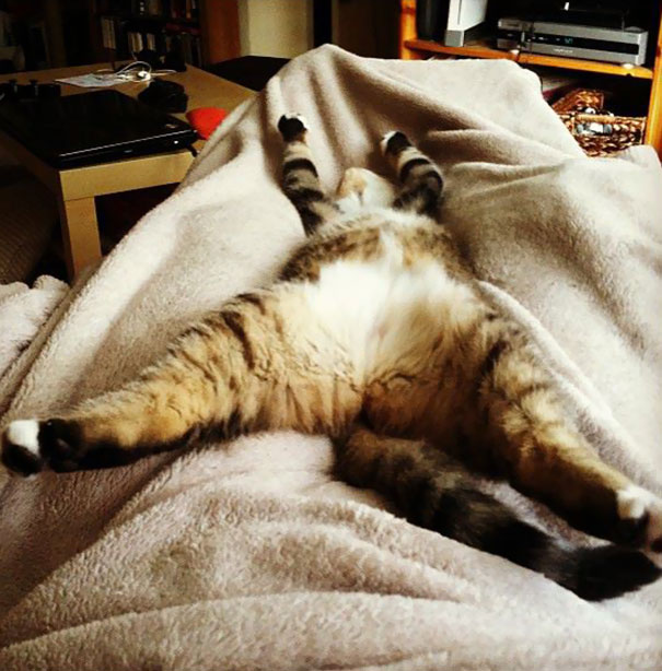 I Just Woke Up From A Nap To This