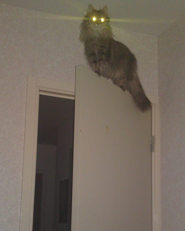 Woke Up To A Noise. Snapped A Picture. Back To Sleep