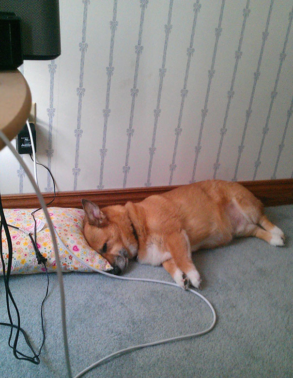 I Woke Up To This This Morning