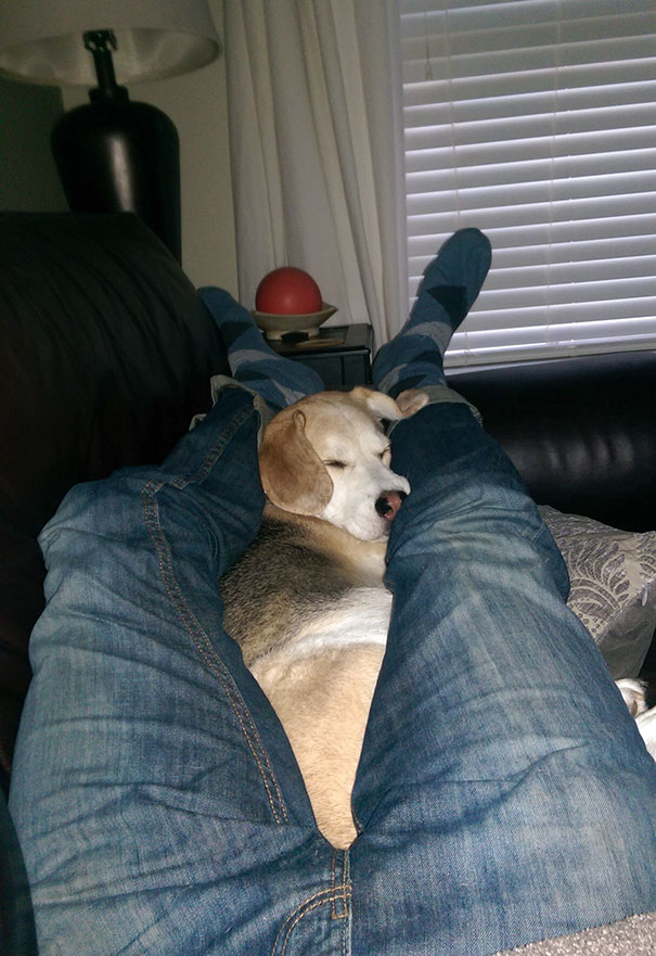 He Was Not There When I Fell Asleep