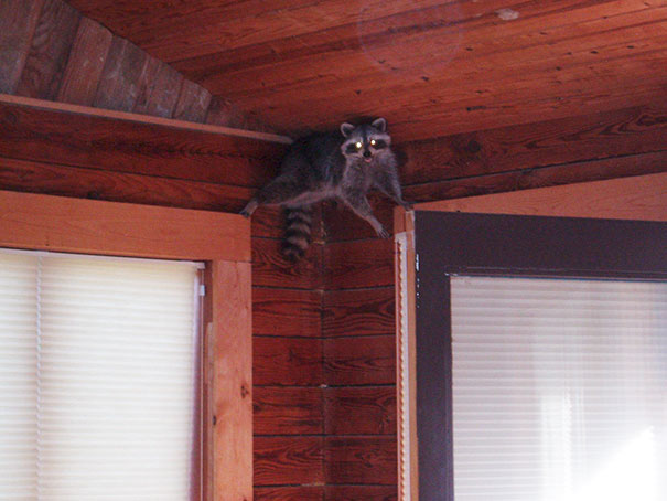 Opened My Eyes This Morning To This