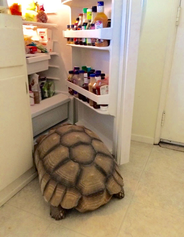 Heard A Noise Downstairs That Woke Me Up