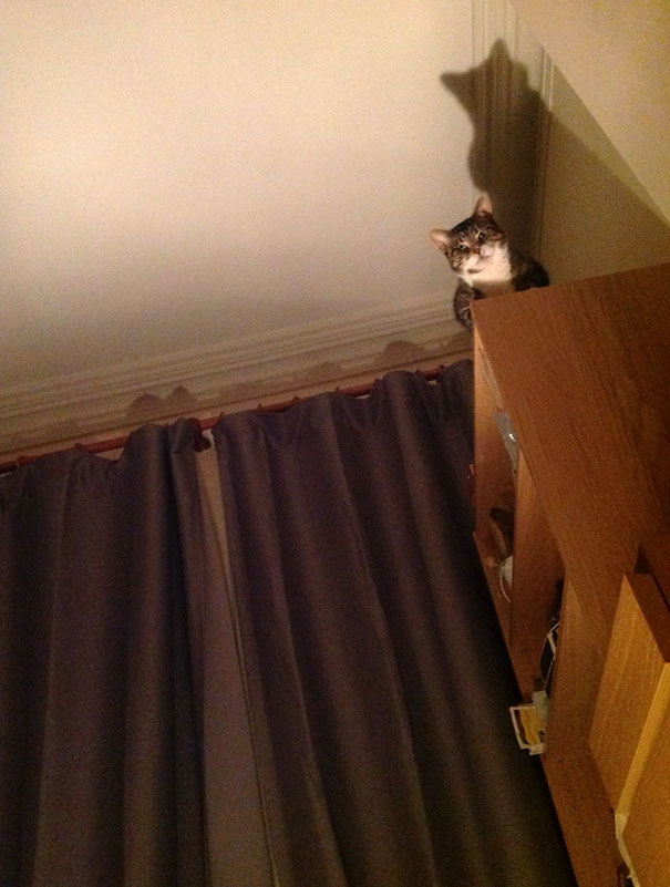 Woke Up At 4am Having Forgotten To Turn My Light Off To This Sight