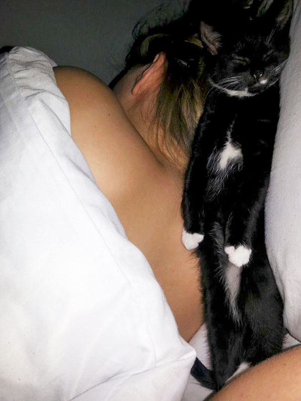Woke Up This Morning See My Cat Sleeping Like This..thank God My Gf Didn't Roll Over