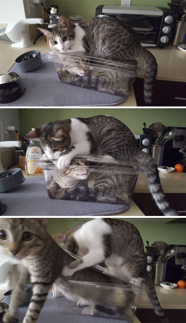 Woke Up To This Today