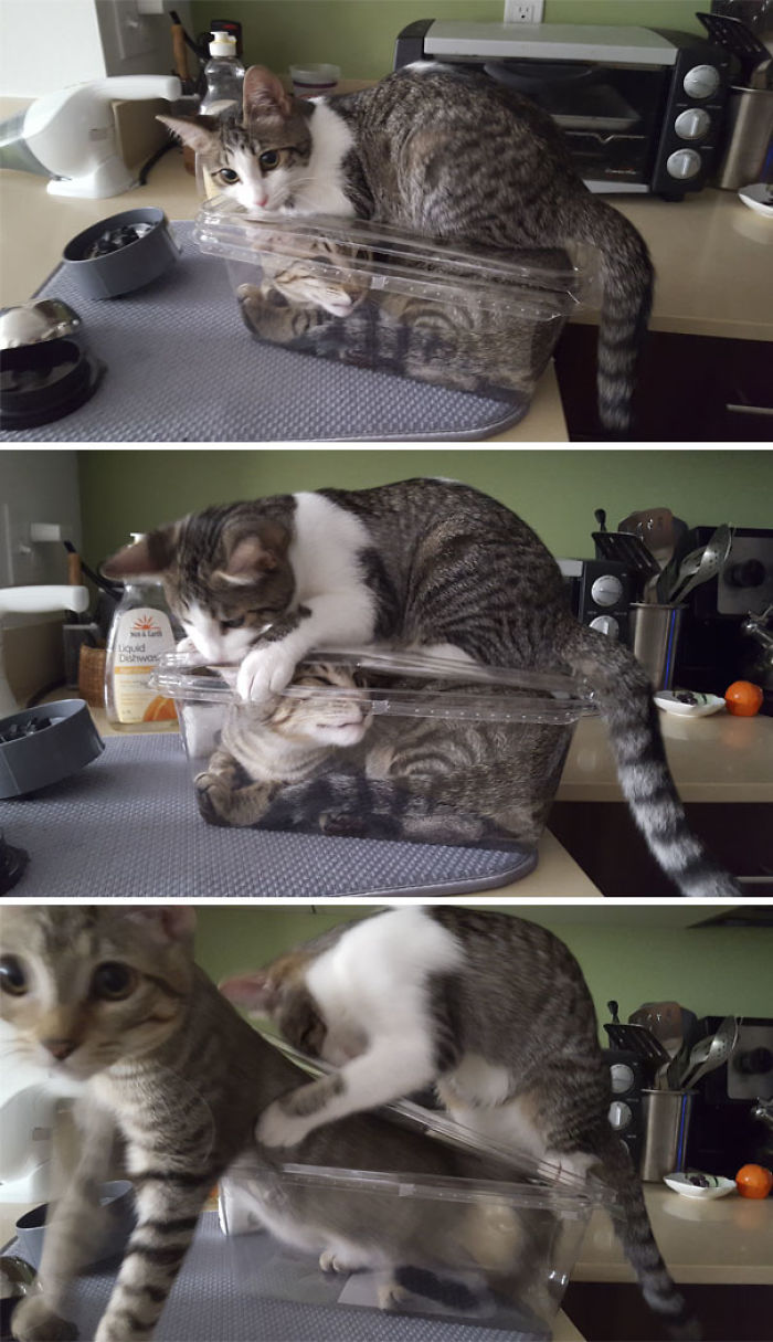 Woke Up To This Today