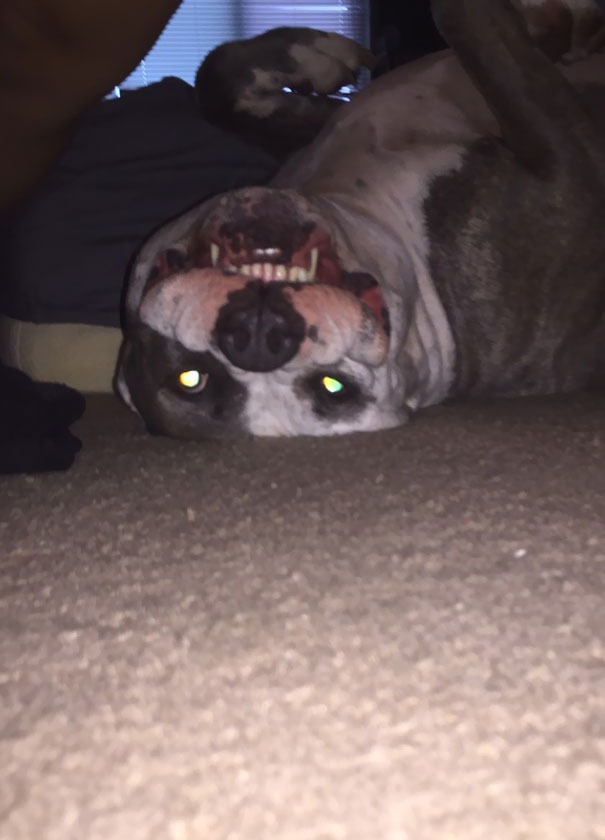 Fell Asleep On The Floor And Woke Up To This