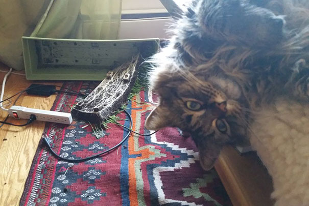 This Is What I Woke Up To This Morning