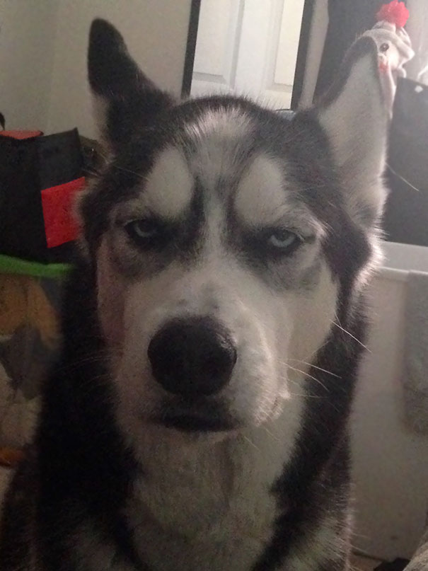 Woke Up To This Face