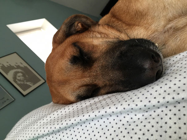 Woke Up To This A Couple Inches From Me. I've Never Reached For My Phone Slower In My Life As Not To Wake Her