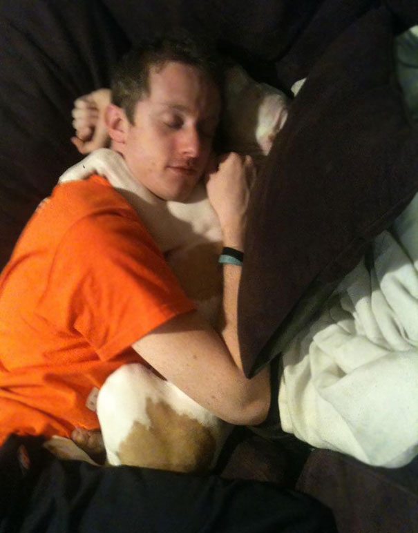 Adopted A Pit Bull The Other Week With My Roommates. Woke Up This Morning To This