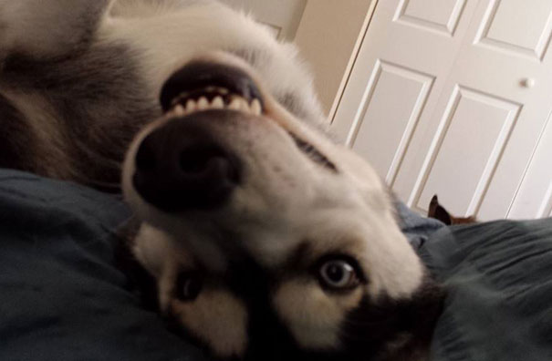 So I Took A Nap When I Got Home From Work Today. Woke Up To This Thing Two Inches In Front Of My Face