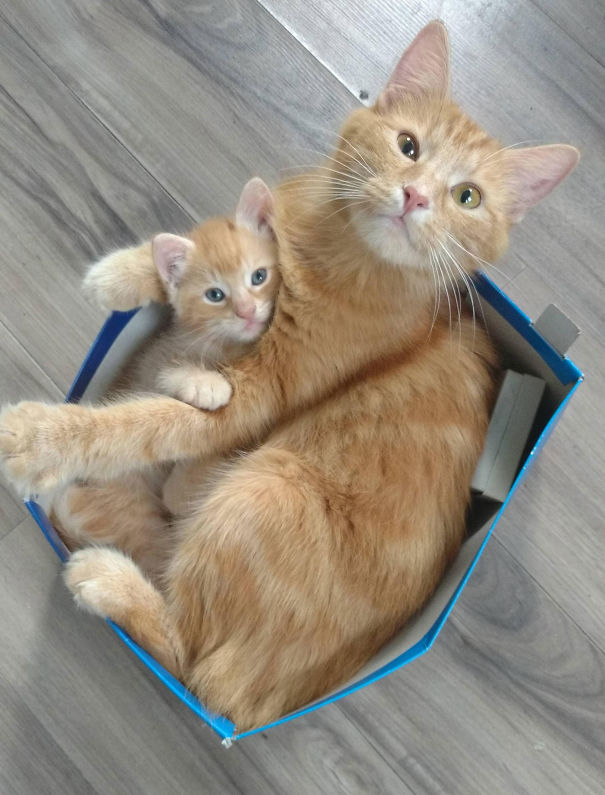 Just Woke Up To These Two. Mother And Son